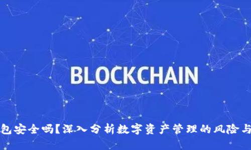 TP钱包安全吗？深入分析数字资产管理的风险与防护