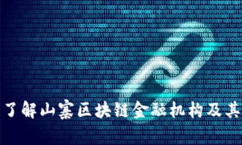 深入了解山寨区块链金融机构及其影响