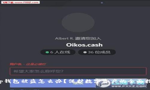  Tp钱包被盗怎么办？保护数字资产的全面指南